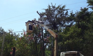 El Municipio reparó las luminarias del barrio San Jorge