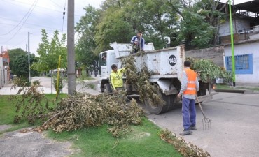 Feriado: se recolectarán los residuos pero no se retirarán montÃculos verdes