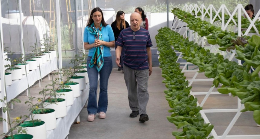 Nueva cosecha de hortalizas en la Huerta Hidropónica de Casa Esperanza    