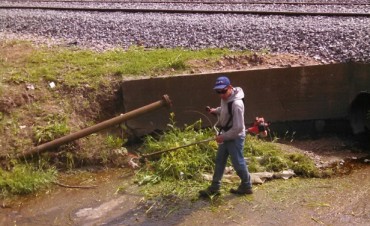 El Municipio realizó tareas de limpieza y mantenimiento integral en la calle Irigoyen
