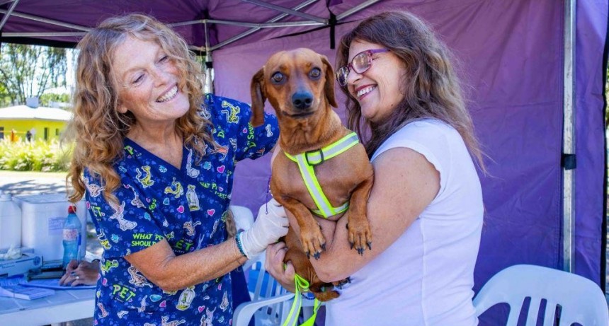 El Municipio impulsó una nueva campaña de vacunación contra la rabia para mascotas