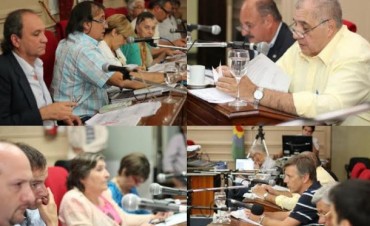 La permuta del estadio de Villa Dalmine tendr&aacute; tratamiento en una sesi&oacute;n extraordinaria.