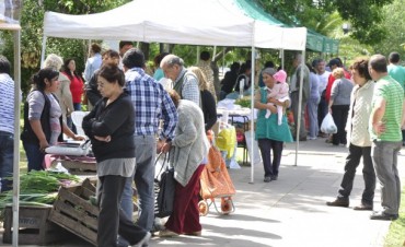 La Feria de Productores se presentar&aacute; el viernes en la Plaza del barrio D&aacute;lmine Nuevo