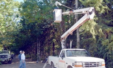 Colocan nuevas luminarias y podan &aacute;rboles en Santa Br&iacute;gida para brindar mayor seguridad al barrio