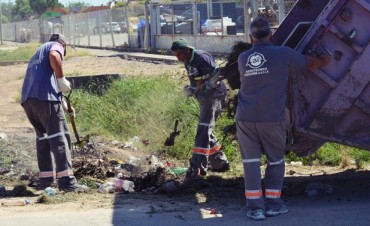 El Municipio y Agrot&eacute;cnica Fueguina trabajan en la limpieza de los barrios 