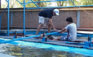 Sergio Fern&aacute;ndez seguir&aacute; dictando clases de remo para principiantes y avanzados en Campana Boat Club