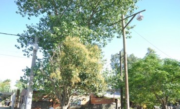 Estaci&oacute;n R&iacute;o Luj&aacute;n: el Municipio repar&oacute; una luminaria que estaba prendida desde hac&iacute;a dos a&ntilde;os