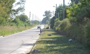 Para brindar m&aacute;s seguridad a los vecinos limpian la zona de la calle Bellomo 