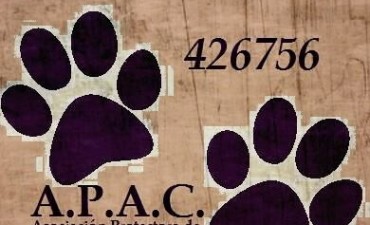 APAC y un pedido de ayuda para criar cachorros