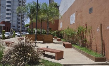 El Municipio realizar&aacute; fumigaciones para disminuir la densidad de mariposas negras