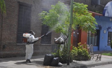 Mariposas negras: el Municipio intensific&oacute; las fumigaciones en la v&iacute;a p&uacute;blica