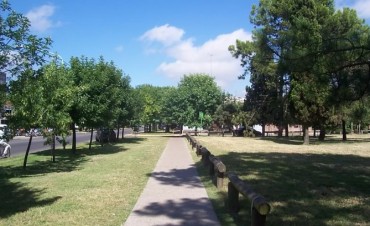 Est&aacute; vigente una nueva Ordenanza Municipal para el arbolado p&uacute;blico