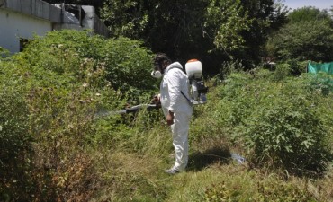 El Municipio fumig&oacute; en el barrio Otamendi por la aparici&oacute;n de alacranes