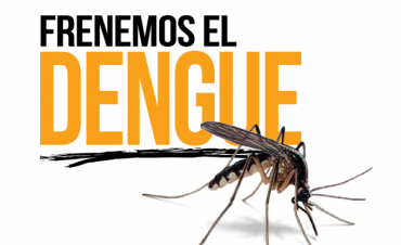 Verano&hellip; pensemos en mosquitos: Dengue, Zika y Chikungunya 
