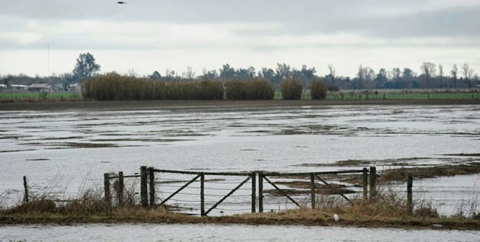 Naci&oacute;n homologa la situaci&oacute;n de emergencia agropecuaria