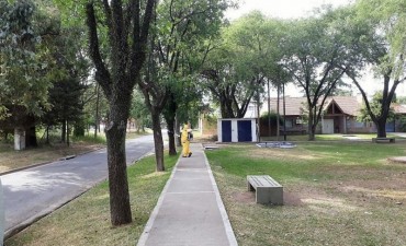 Comenzaron las tareas de fumigaci&oacute;n contra las mariposas negras
