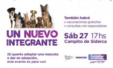 Este s&aacute;bado en el campito de Siderca se podr&aacute;n adoptar mascotas y dar en adopci&oacute;n