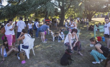 &ldquo;Un nuevo integrante&rdquo;: se adoptaron m&aacute;s de 50 mascotas en el campito de Siderca   