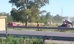 Cortaba el pasto al costado de la Panamericana y muri&oacute; arrollado