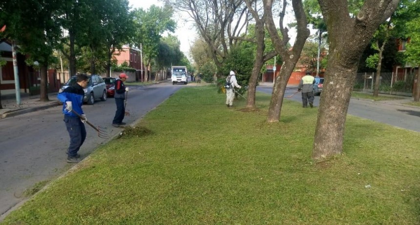 El Municipio realiza trabajos de mantenimiento en la ciudad