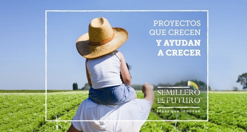  Semillero de Futuro lanza su edici&oacute;n 2019 para apoyar proyectos de alto impacto social