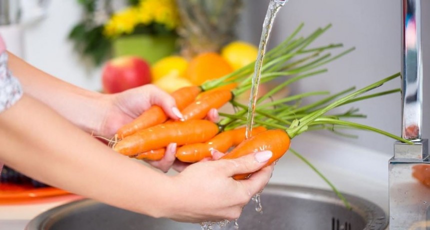 Brindan indicaciones para una alimentaci&oacute;n segura y saludable durante el verano