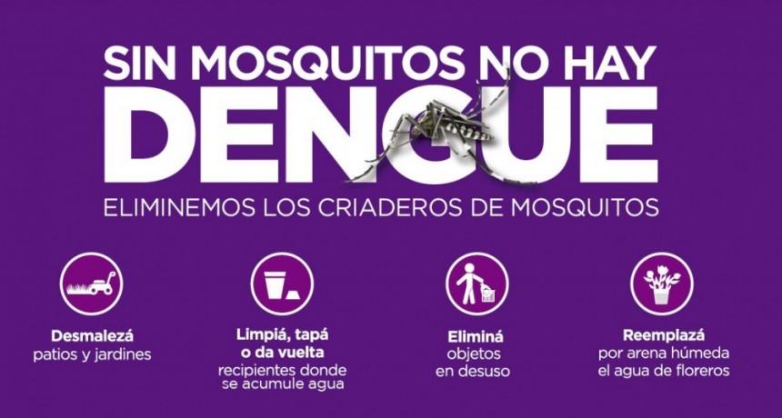 Recuerdan medidas de prevenci&oacute;n contra el Dengue
