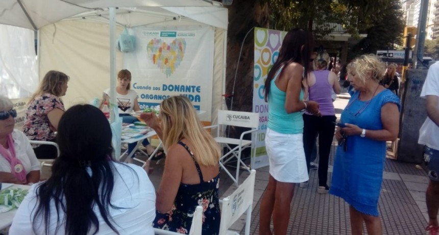 SALUD COMENZ&Oacute; LA CAMPA&Ntilde;A DE VERANO PARA PROMOCIONAR LA DONACI&Oacute;N DE &Oacute;RGANOS 