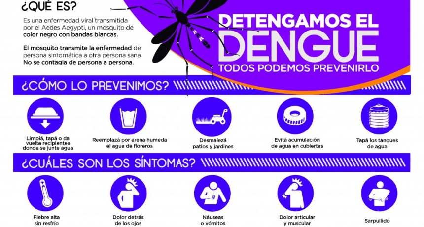 Dengue: el Municipio insiste en la importancia de la prevención en cada uno de los hogares