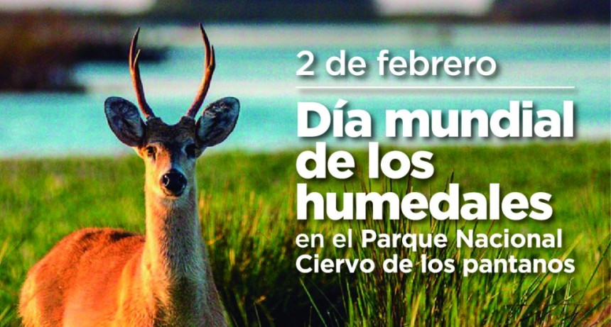 Realizar&aacute;n una visita guiada gratuita por el Parque Nacional Ciervo de los Pantanos