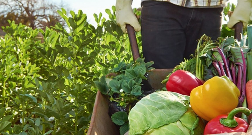 El Gobierno Provincial lanzó un fideicomiso para acompañar al sector agrario y agroecológico