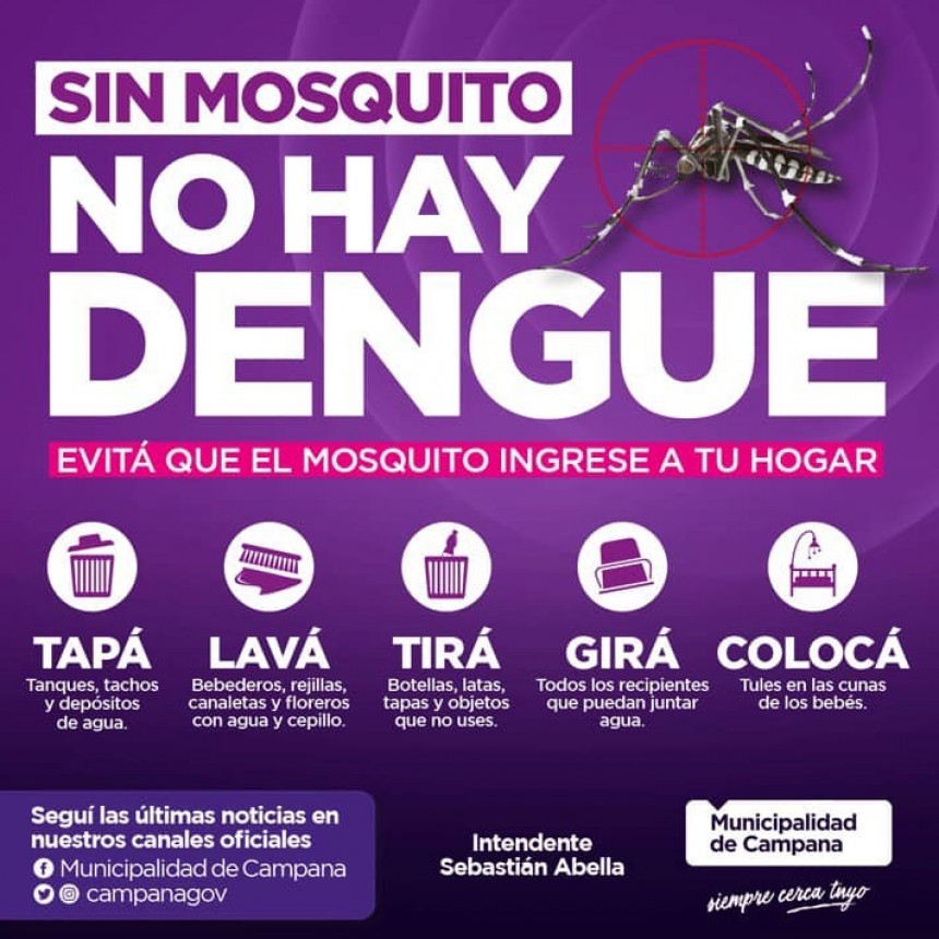 Dengue: recuerdan las medidas de prevención