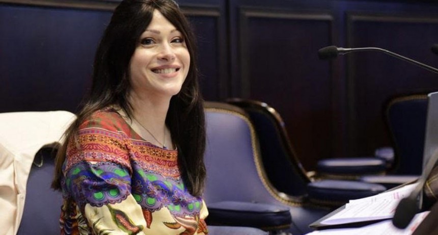 SOLEDAD ALONSO VOTÓ POSITIVAMENTE LA ENMIENDA QUE PERMITIRÁ A SEBASTIÁN ABELLA POSTULARSE A INTENDENTE EN 2023