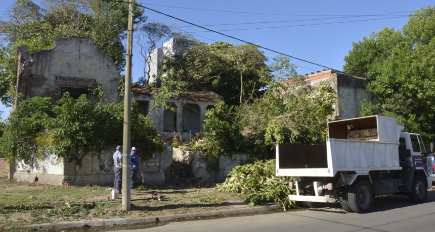 El Municipio profundiza la limpieza de los espacios públicos y pide colaboración a los vecinos 