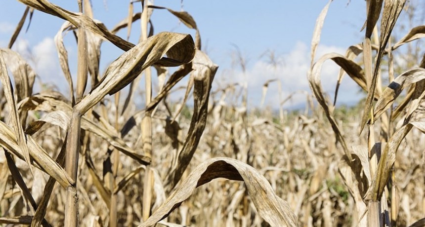 JUNTOS POR EL CAMBIO PIDE QUE LA PROVINCIA DECLARE LA EMERGENCIA AGROPECUARIA POR LA SEQUÍA