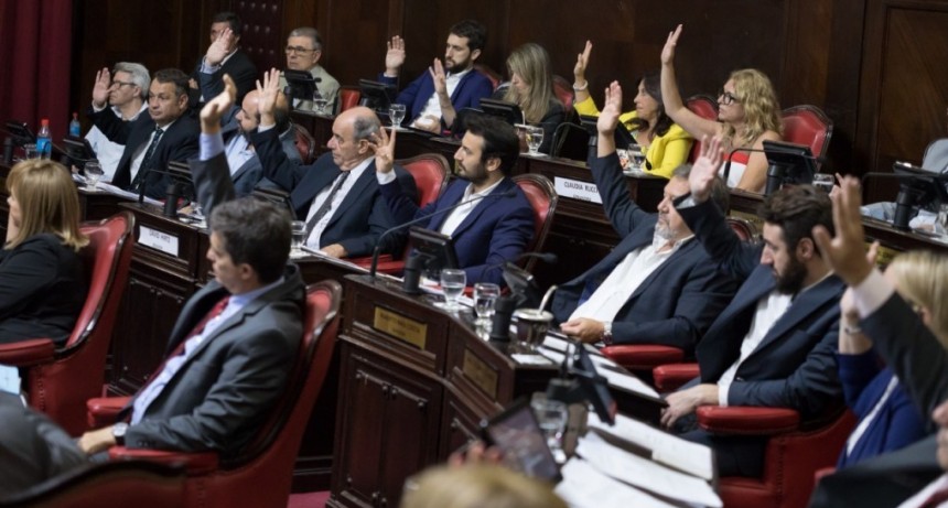 Repudiamos la marcha del 1F porque atenta contra los principios Democráticos