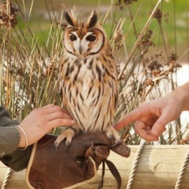 Bioparque Temaik�n presenta nuevas actividades para la temporada verano  