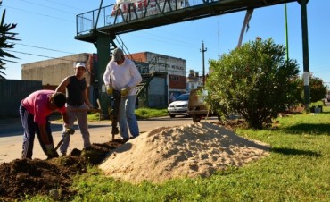 Personal Municipal restablece el sistema de alumbrado público en la Av. 6 de Julio