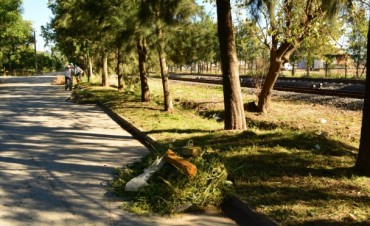 A trav&eacute;s de Obras P&uacute;blicas, el Municipio realiz&oacute; tareas de limpieza en la calle Irigoyen