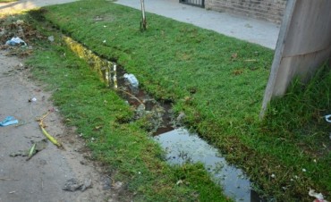 En el barrio Don Manuel tambi&eacute;n se realizaron tareas de mantenimiento