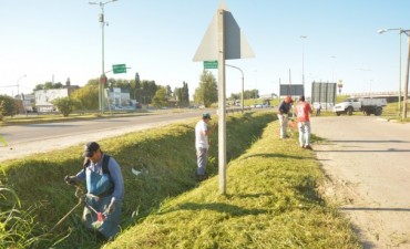 Cuadrillas Municipales refuerzan las tareas de limpieza en la Ciudad