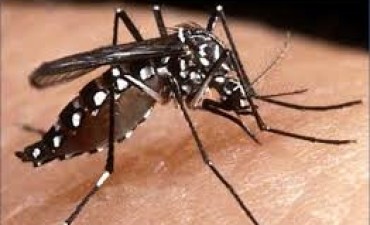 Contin&uacute;a la campa&ntilde;a de prevenci&oacute;n del Dengue