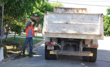 El Municipio contin&uacute;a con el operativo de descacharrizaci&oacute;n en los barrios
