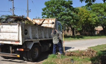 Contin&uacute;an los operativos de descacharrizaci&oacute;n en los barrios de la ciudad 