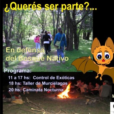 &iexcl;En Defensa del Bosque Nativo!  