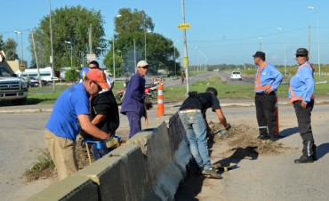 El Municipio realiz&oacute; importantes mejoras debajo del puente de la Panamericana