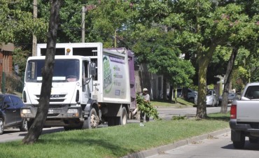 Se incorporan dos camiones para la recolecci&oacute;n de mont&iacute;culos y elementos en desuso 