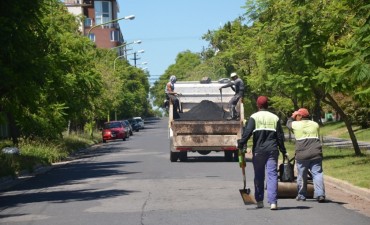 El Municipio inici&oacute; un plan de bacheo en el casco c&eacute;ntrico