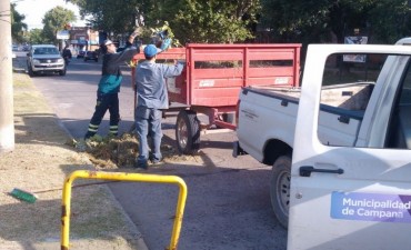 Retiran escombros y ramas de la v&iacute;a p&uacute;blica 