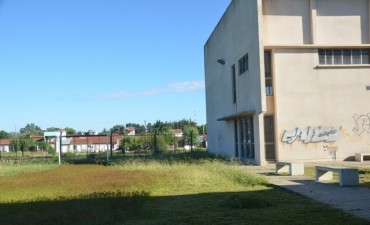 El Municipio realiz&oacute; tareas de limpieza y mantenimiento en la Escuela N&deg; 13